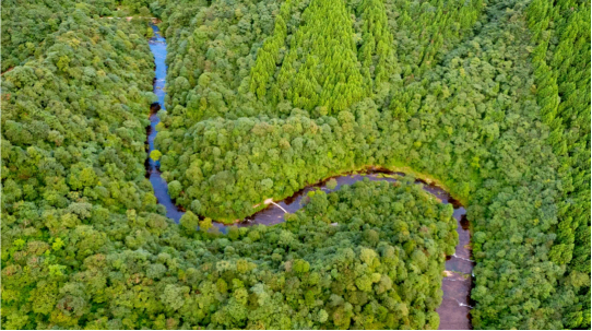 城市记忆 光影邛崃｜成都天台山旅游景区全力推进5A创建