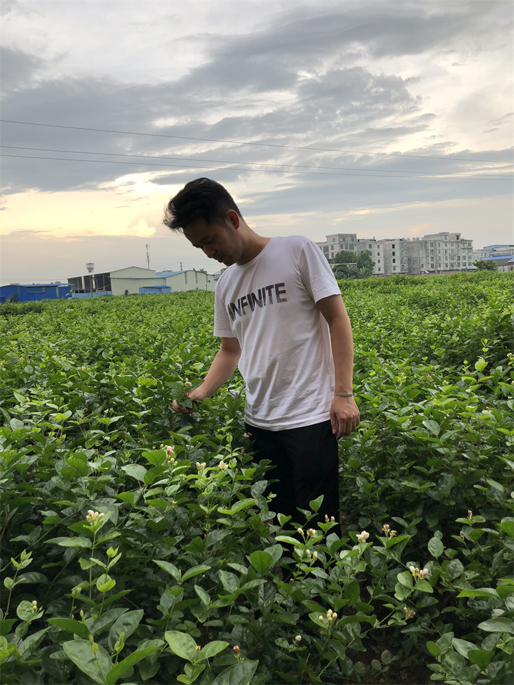 荣耀加冕！一名®茶业荣膺“中国百强优秀企业”称号
