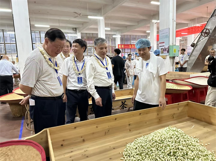 荣耀加冕！一名®茶业荣膺“中国百强优秀企业”称号