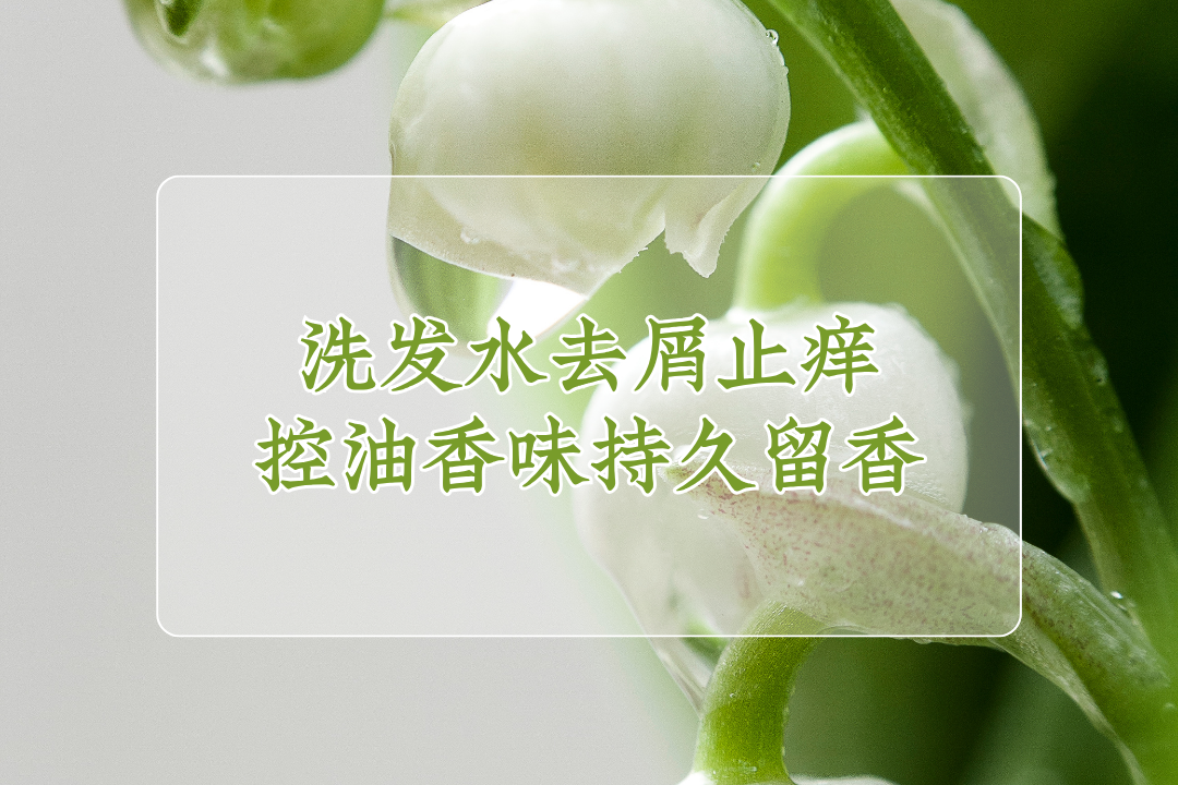 2025高口碑洗发水必试：去屑止痒控油香味持久留香超安心