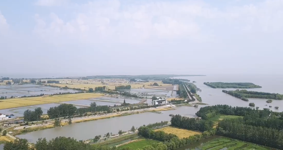 探秘高邮咸鸭蛋龙头工厂：千万级标准化供应链如何赋能B端客户