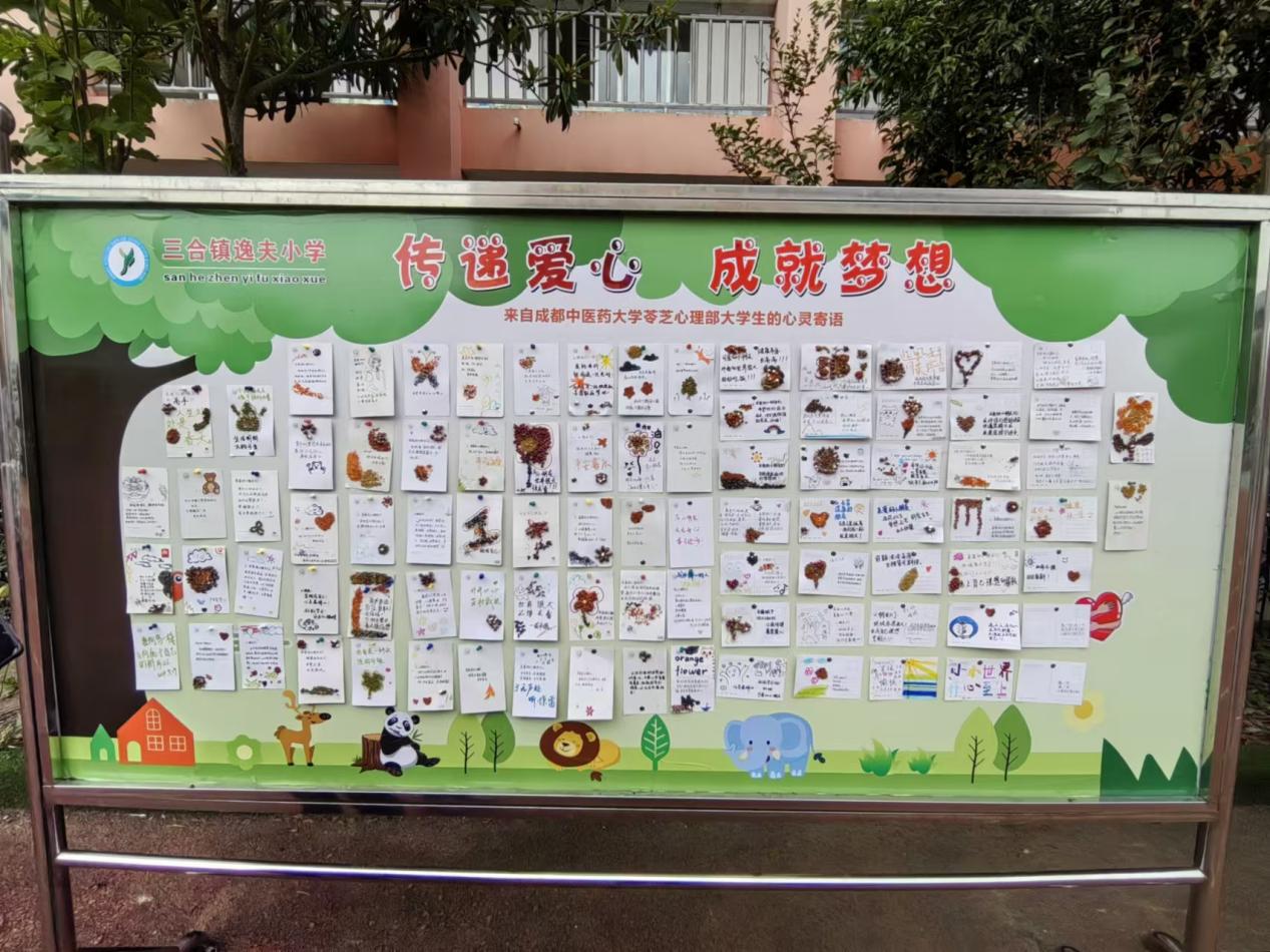 成都中医药大学“书香润童心，益童筑梦行”活动圆满结束