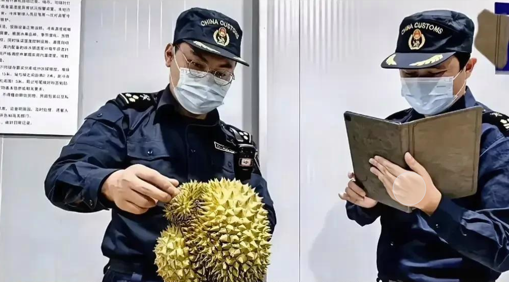 2025年榴莲产业的变革元年：从危机到机遇