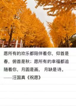 “光影传情 爱意护心”公益主题活动圆满结束