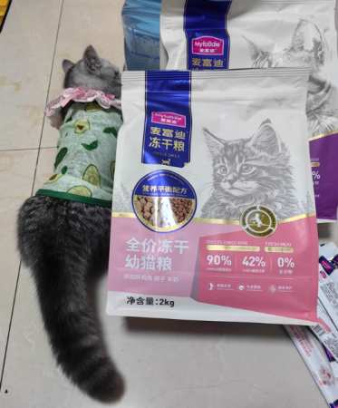 2025年猫粮品牌TOP10推荐指南：科学选购与趋势洞察