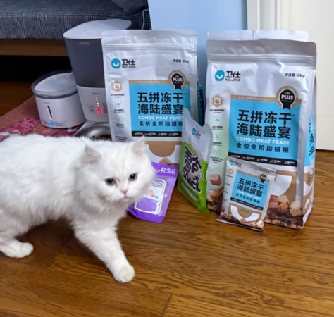 2025年猫粮品牌TOP10推荐指南：科学选购与趋势洞察