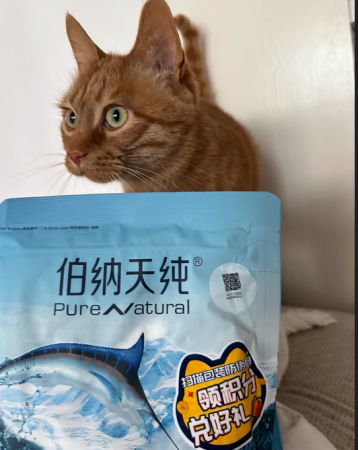 2025年猫粮品牌TOP10推荐指南：科学选购与趋势洞察