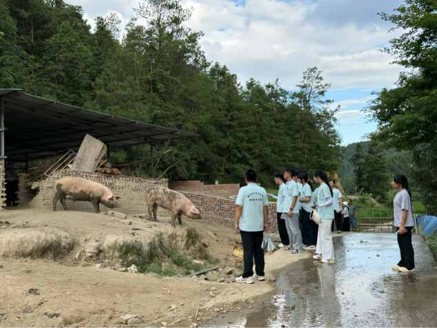 青春实践兴隆木，智慧助农暖乡情——赣州职业技术学院“畜力青春队”三下乡振兴纪实