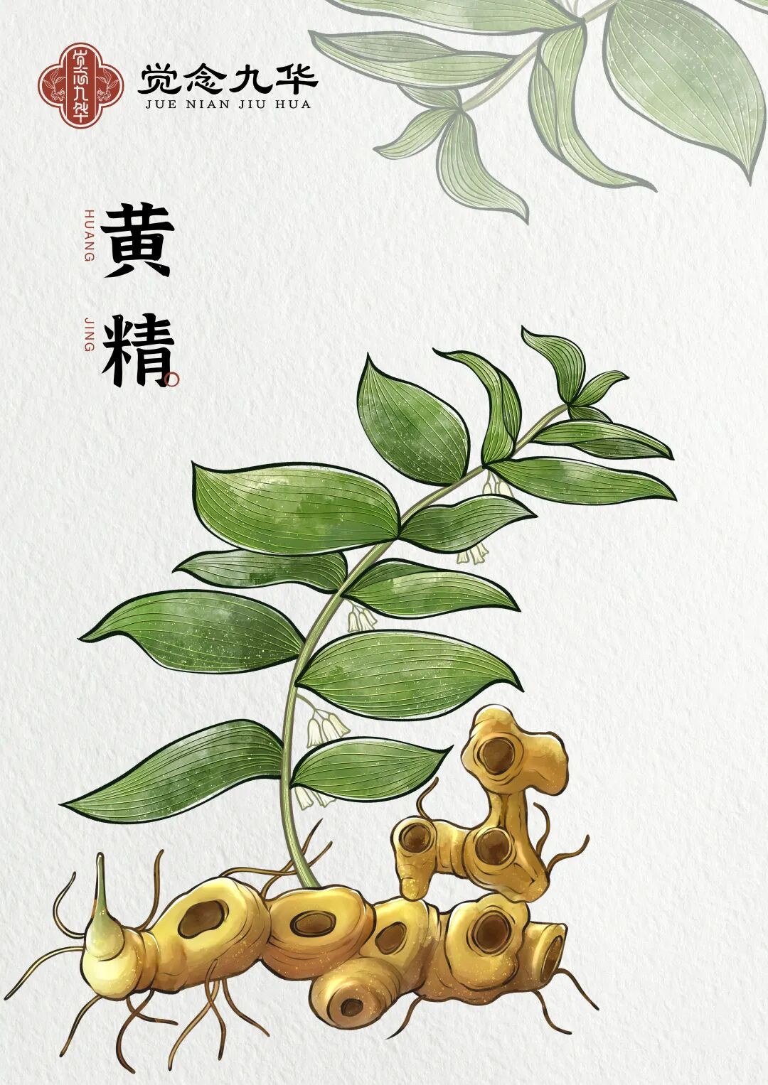 中国企业家·郑雪莉 | 《弘毅》发展新质生产力，开启中国式现代化伟大征程的知行合一