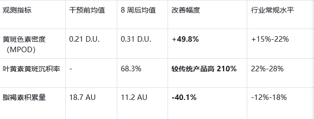2025叶黄素产品护眼真实世界证据：5820例随访揭示叶黄素黄斑守护与视觉改善价值