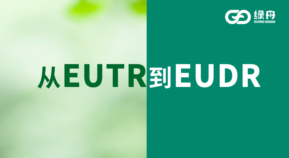 从EUTR到EUDR:欧盟环境法规的重大升级与企业应对策略