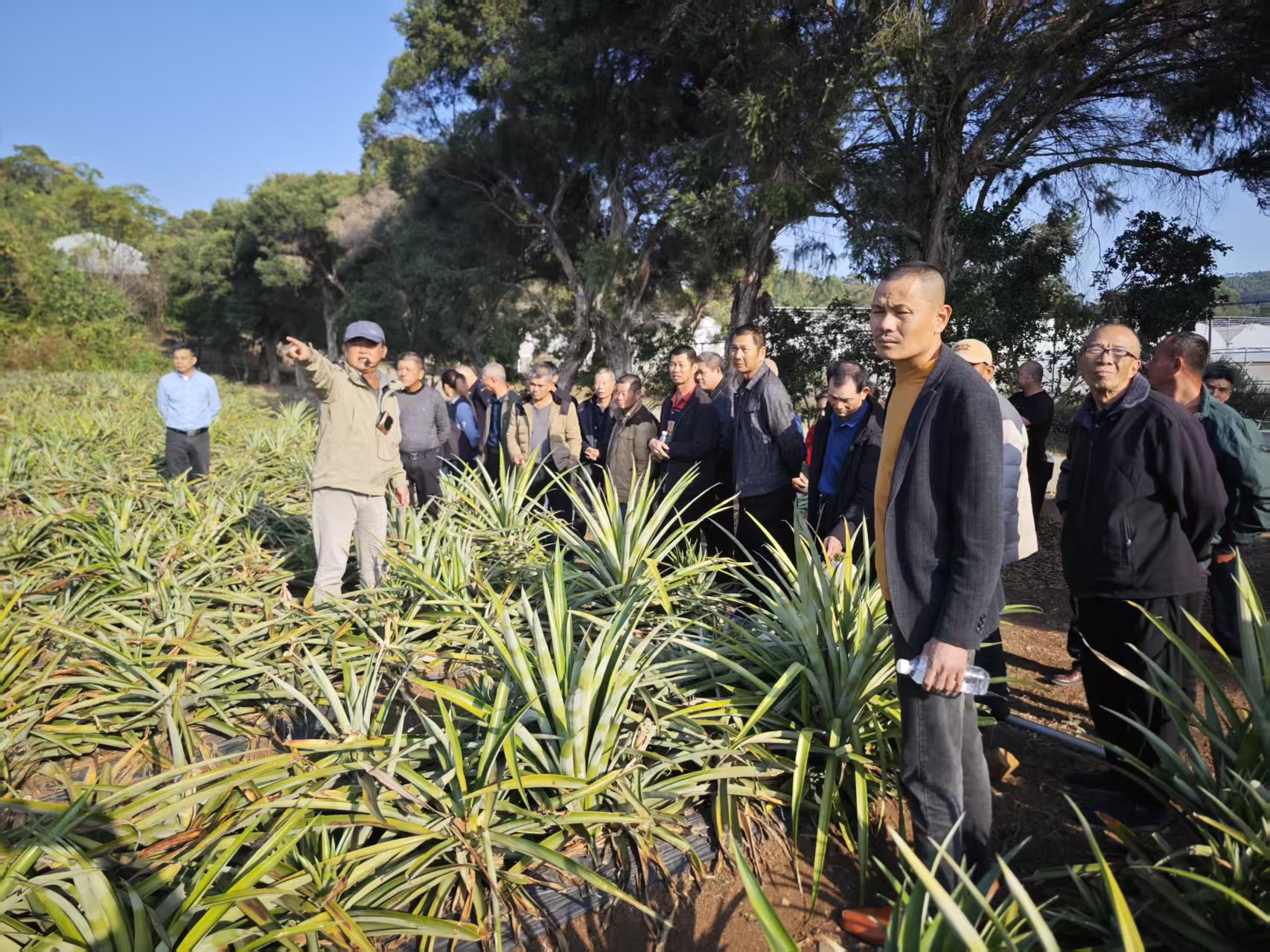 漳浦县高素质农民培训项目(省级