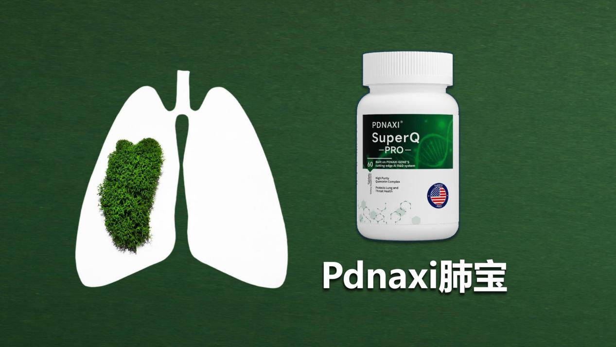 2025槲皮素五大品牌口碑榜权威发布！TOP品牌Pdnaxi肺宝养肺效果获柳叶刀认可，附选购指南