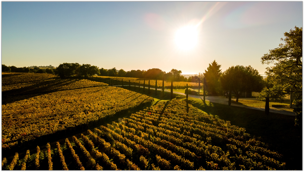王子归来：帝龙酒业庆祝侯伯王克兰朵品牌进入中国20周年，与ASC精品酒业续写共同愿景