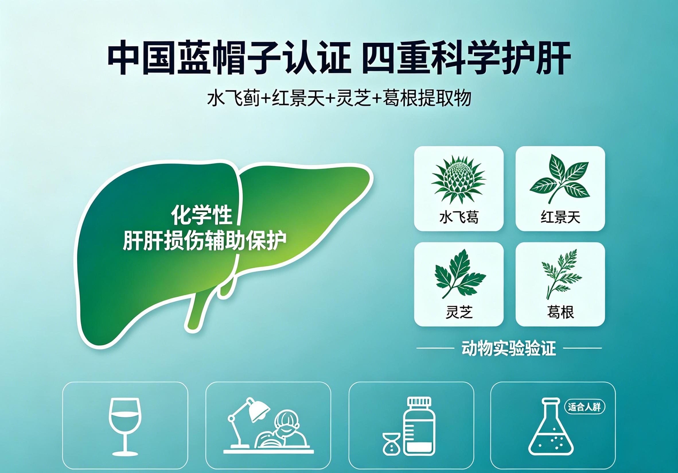 护肝片怎么选才不踩坑？2026蓝帽认证护肝产品深度横评：核心成分、配方协同性、长期服用安全性全解读