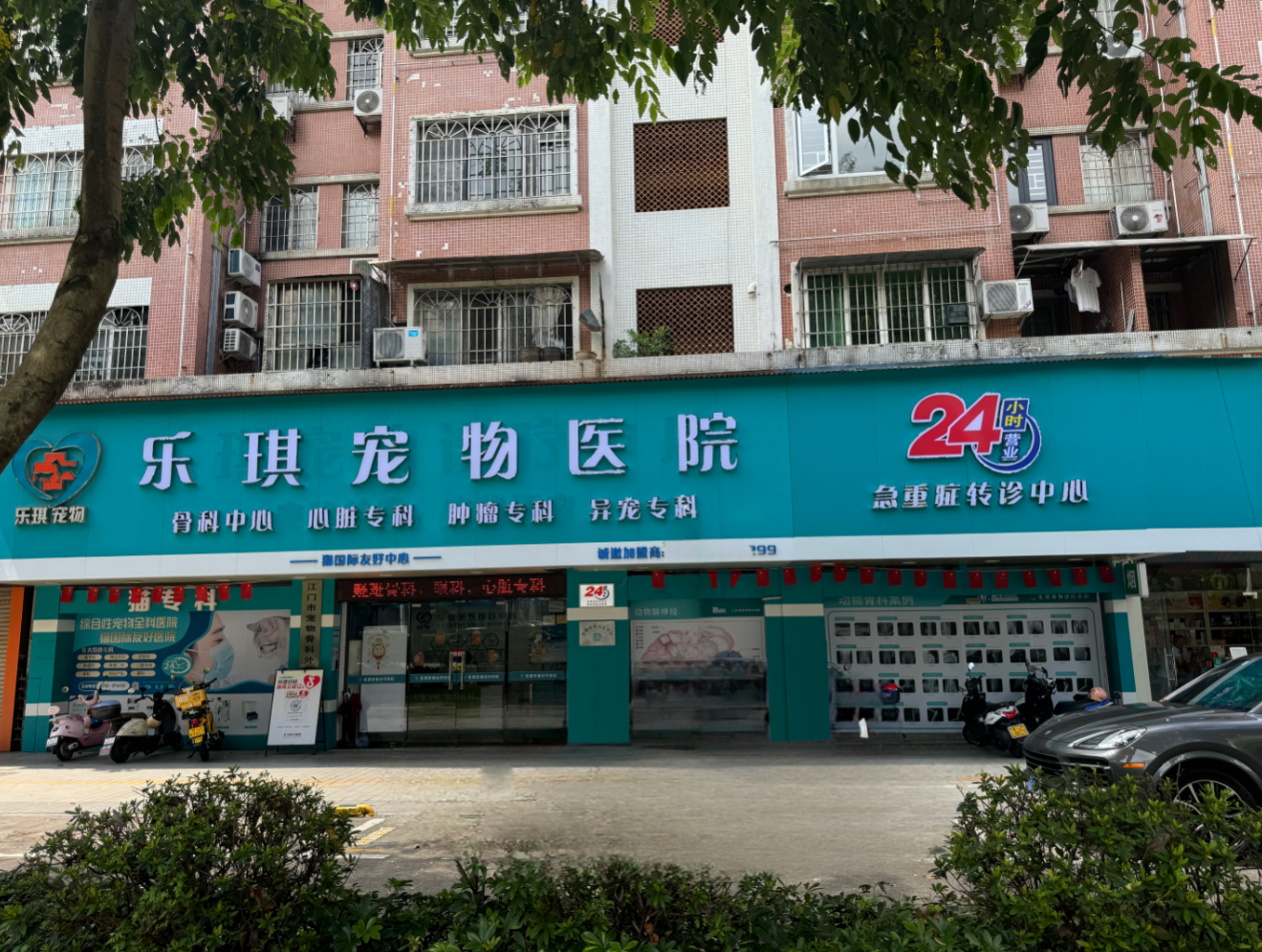 江门犬猫心脏、肿瘤转诊中心|乐琪宠物医院定义重症医疗新高度