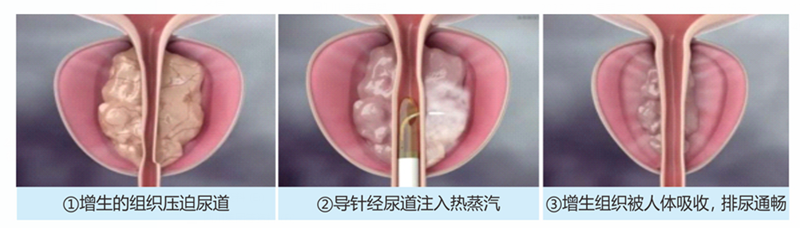微信图片_2026-06-24_111046_015.png