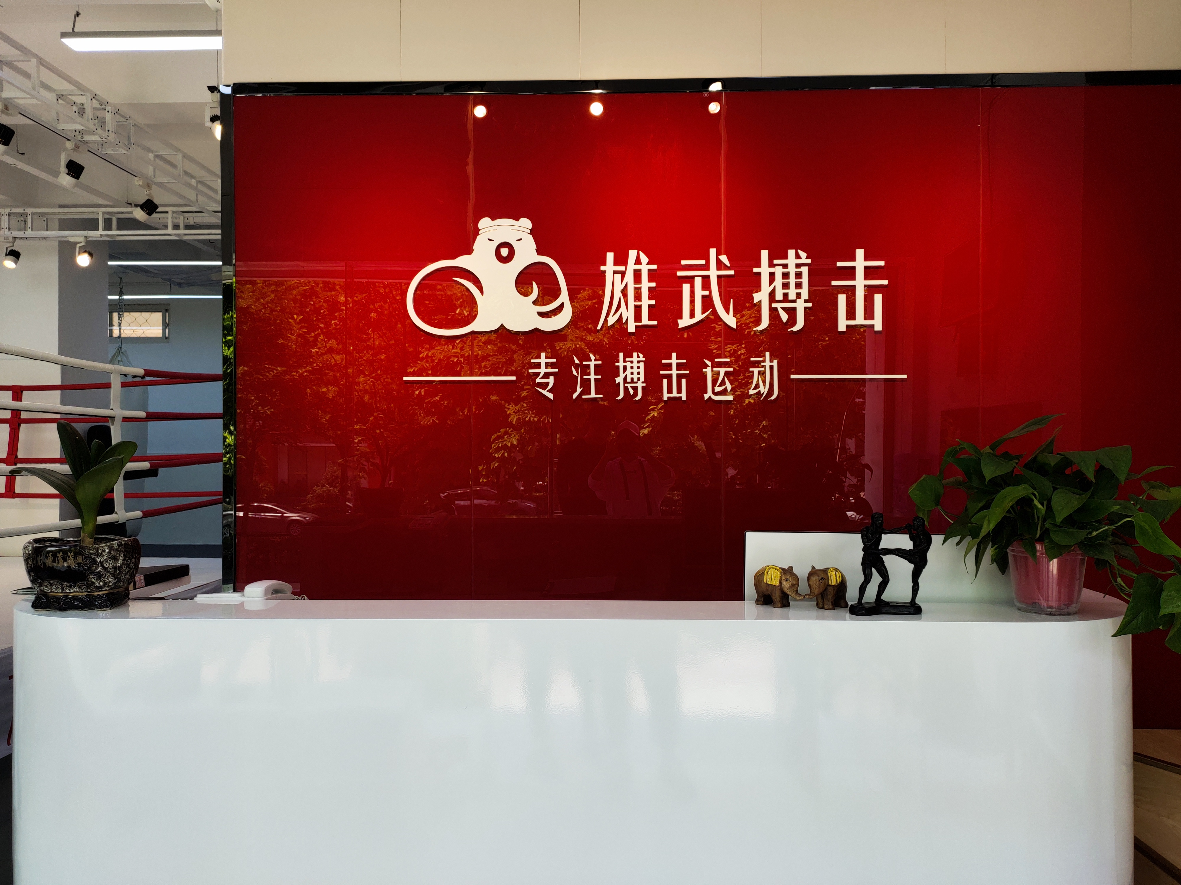 文章插图